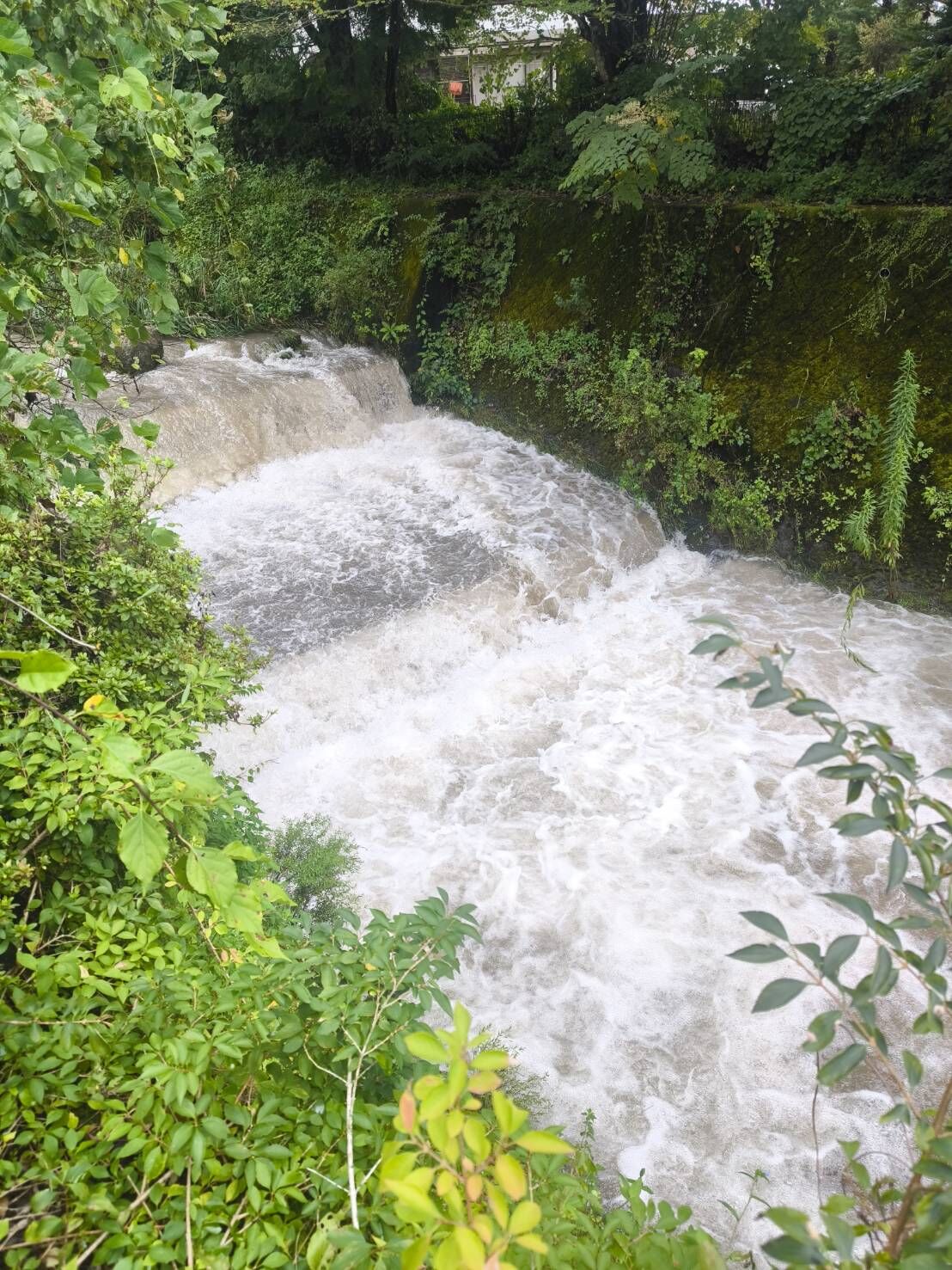 大雨のあと、山と川は一気に表情を変える。相続した山林で気をつけたい豪雨時の危険