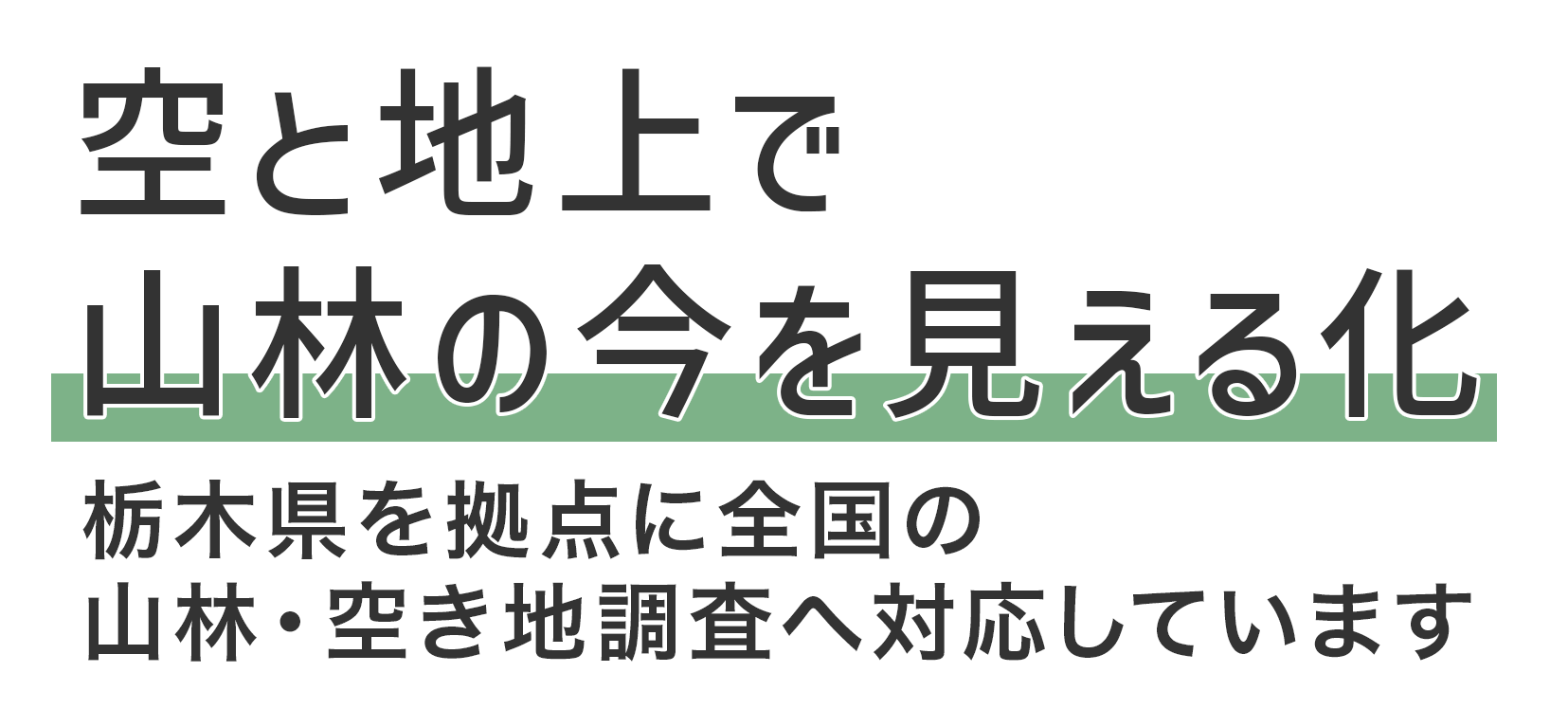 MVcatch